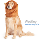 Image for article titled Amazon's Error Dogs, Ranked